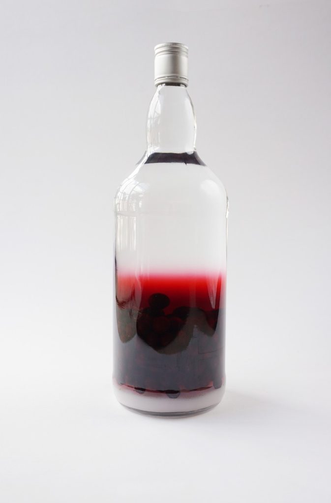 What Is Sloe Gin? What Cocktail Can I Make?